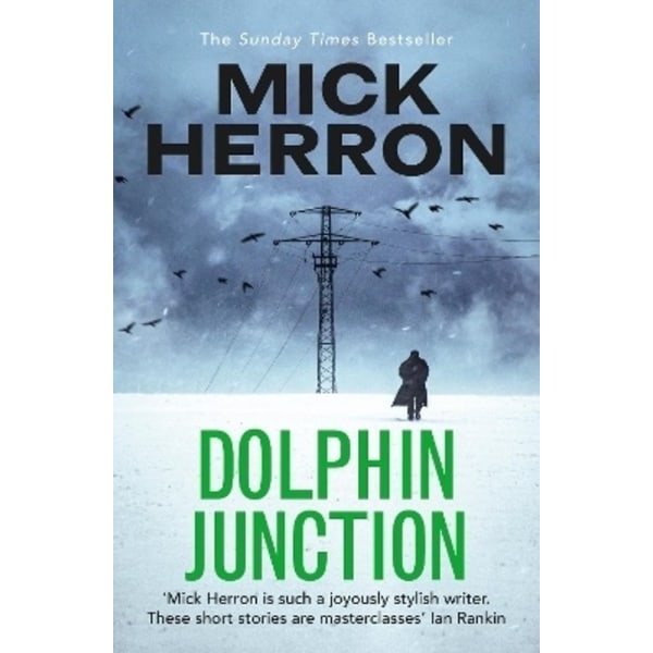 Dolphin Junction 9781529371284