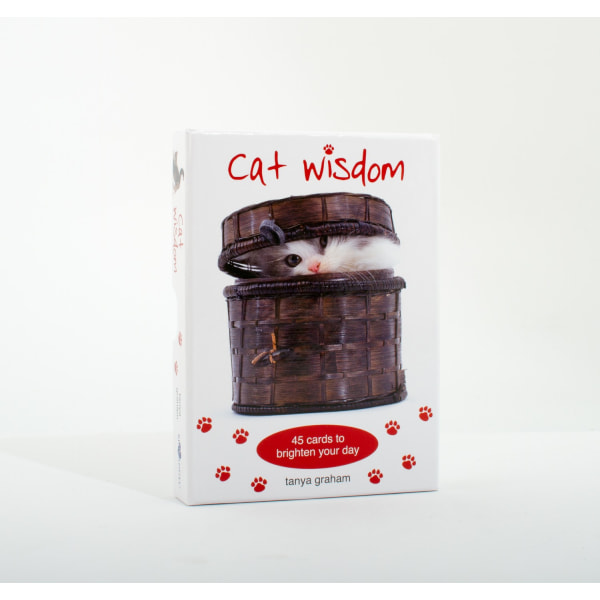 Cat Wisdom Cards New Edition 9781925538342