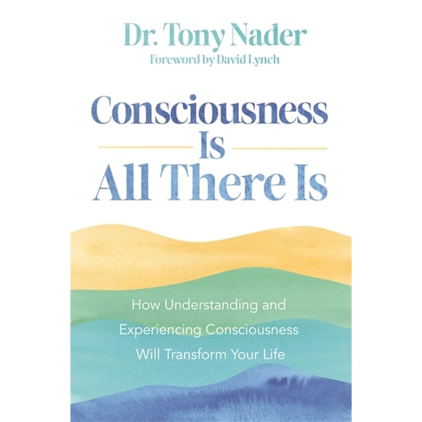 Consciousness Is All There Is 9781837821723