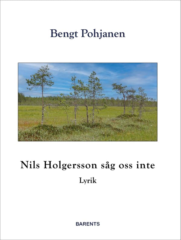 Nils Holgersson såg oss inte 9789189466920