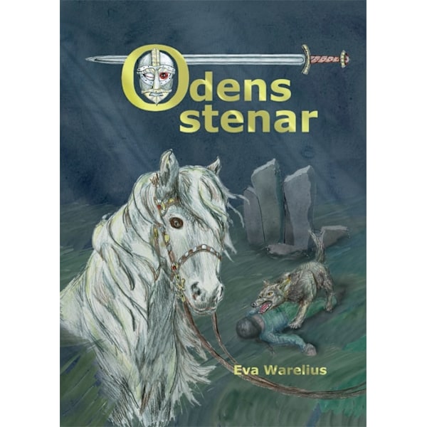 Odens stenar 9789189721159