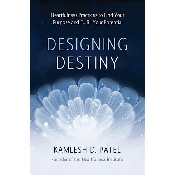 Designing Destiny 9781401958961