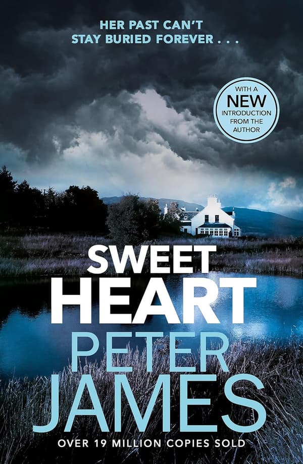 Sweet heart 9781409181293