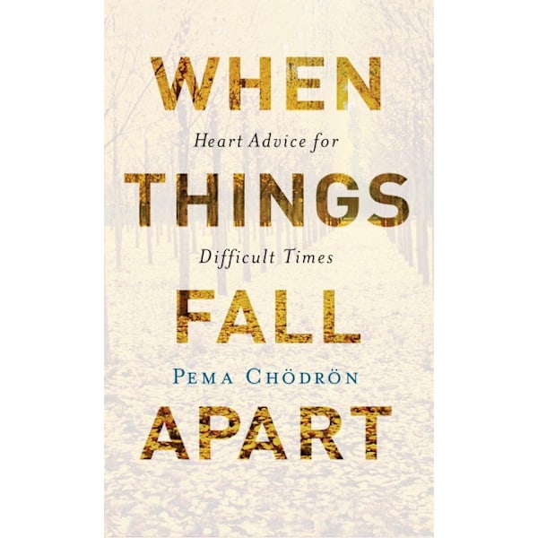 When things fall apart 9781611803433