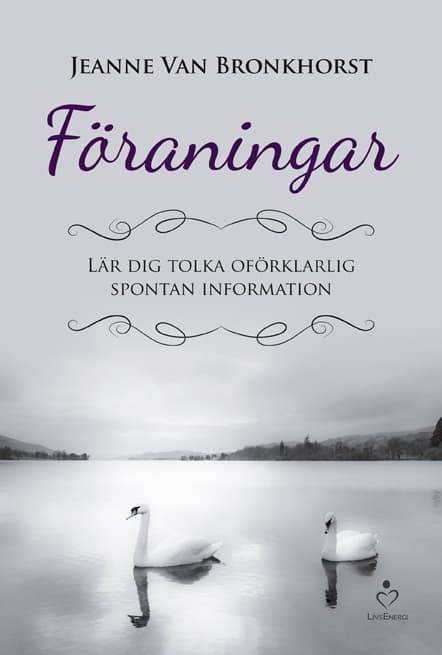Föraningar 9789187505133