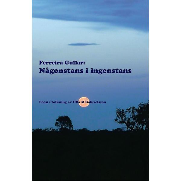 Någonstans i ingenstans 9789197773133