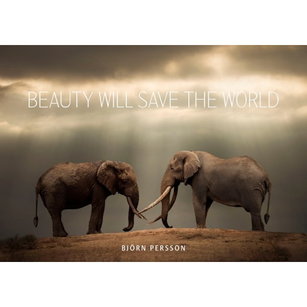 Beauty will save the world 9789189139848