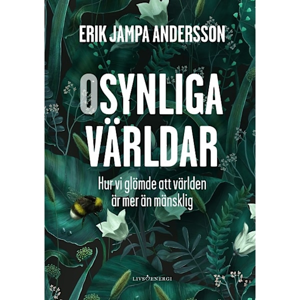 Osynliga världar 9789189437708