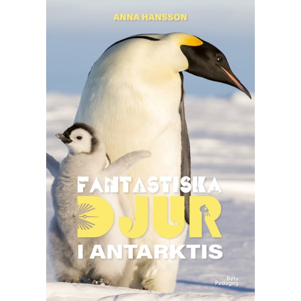 Fantastiska djur i Antarktis 9789189697041