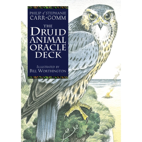 Druid Animal Oracle Deck Reissue 9781800691254