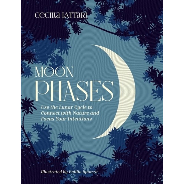Moon Phases 9781524871802