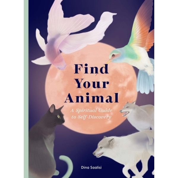 Find Your Animal 9781913947675