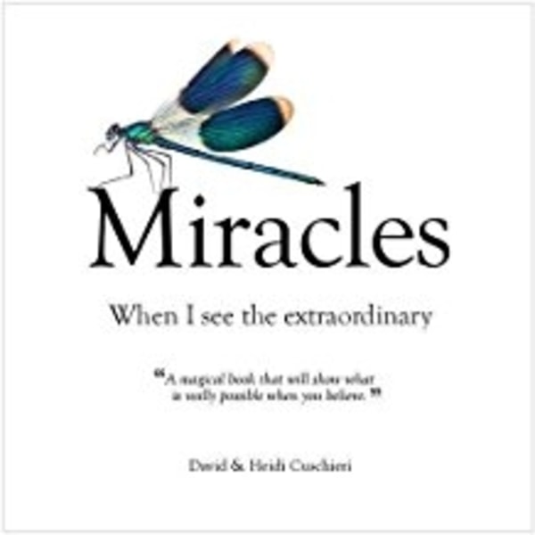 Miracles : When I See The Extraordinary 9781922161628