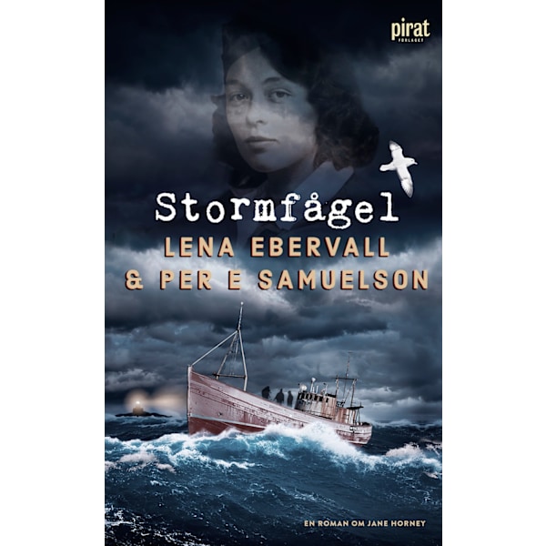 Stormfågel 9789164207463