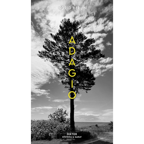 Adagio 9789189991262