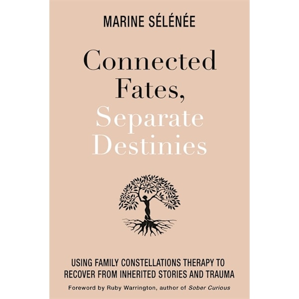 Connected Fates, Separate Destinies 9781788178174