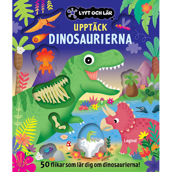 Lyft och lär 9788775377732
