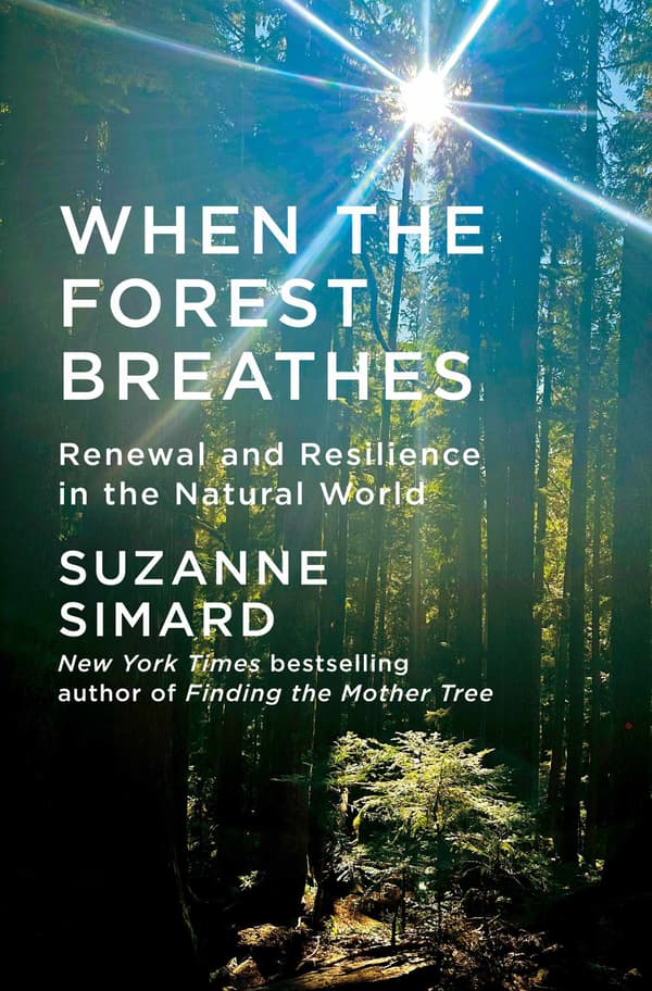 When the Forest Breathes 9781524712976