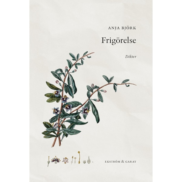 Frigörelse 9789189474512