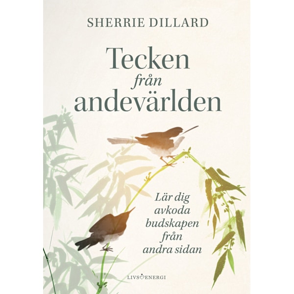 Tecken från andevärlden 9789189437623