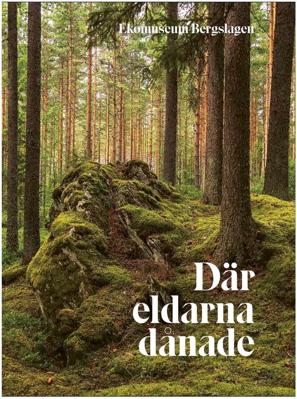 Där eldarna dånade 9789151968995