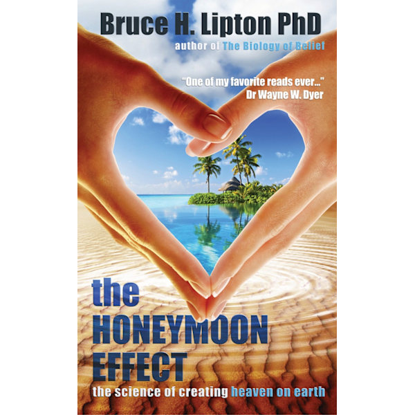 Honeymoon effect 9781781801895