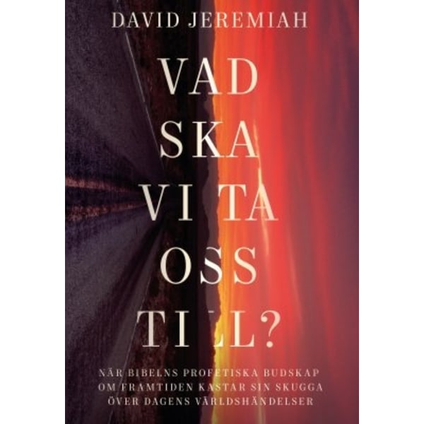 Vad ska vi ta oss till? 9789189290624