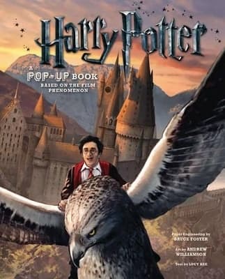 Harry Potter: A Pop-Up Book 9781608870080