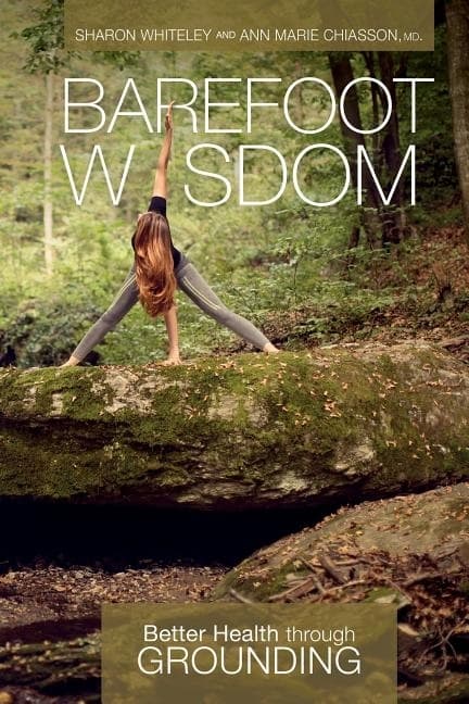 Barefoot Wisdom 9780764355448