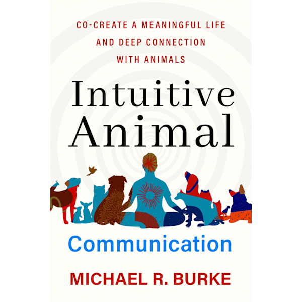 Intuitive Animal Communication 9781837820832