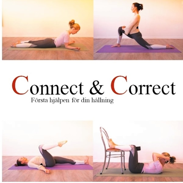 Connect & correct 9789178519453