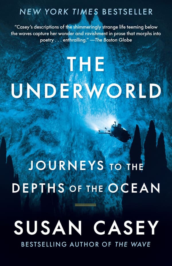 The Underworld 9781984898869