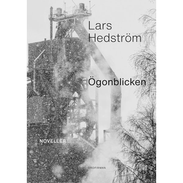 Ögonblicken 9789198545395