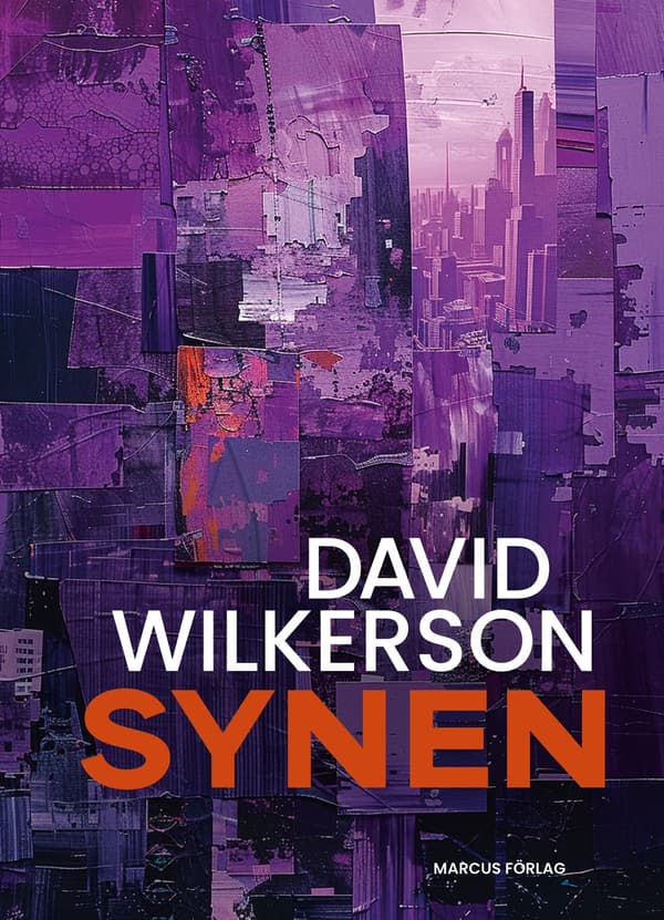Synen 9789179997519