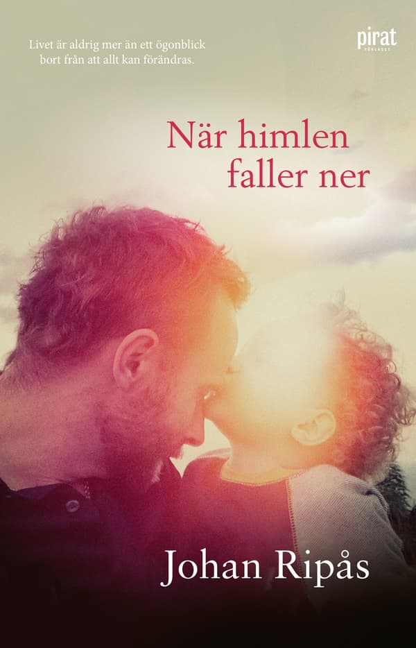 När himlen faller ner 9789164206558