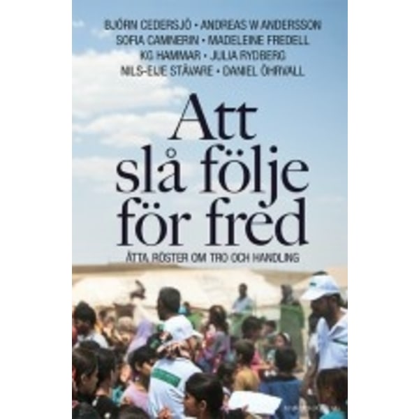 Att slå följe för fred 9789179996284