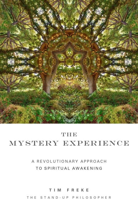 The Mystery Experience 9781780286563
