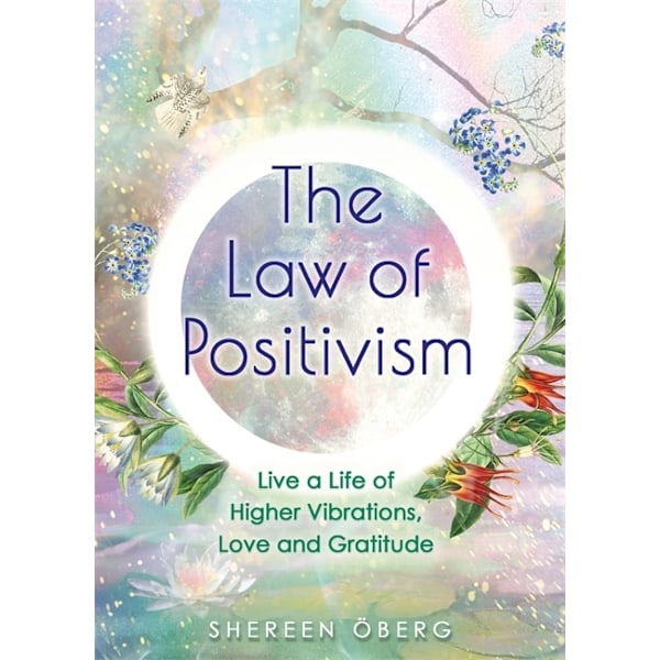 The Law of Positivism 9781788175739