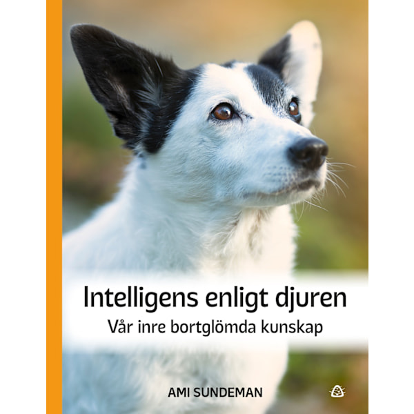 Intelligens enligt djuren 9789189773219