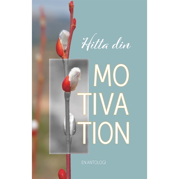 Hitta din motivation 9789187813047