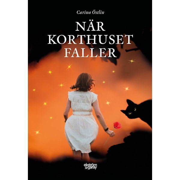 När korthuset faller 9789189308947