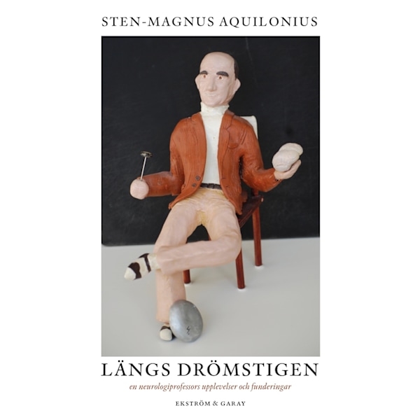 Längs drömstigen 9789189308770