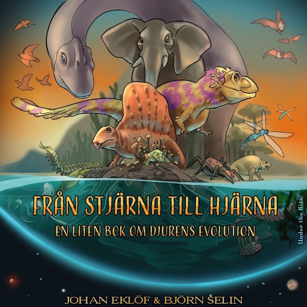 Från stjärna till hjärna 9789198525069