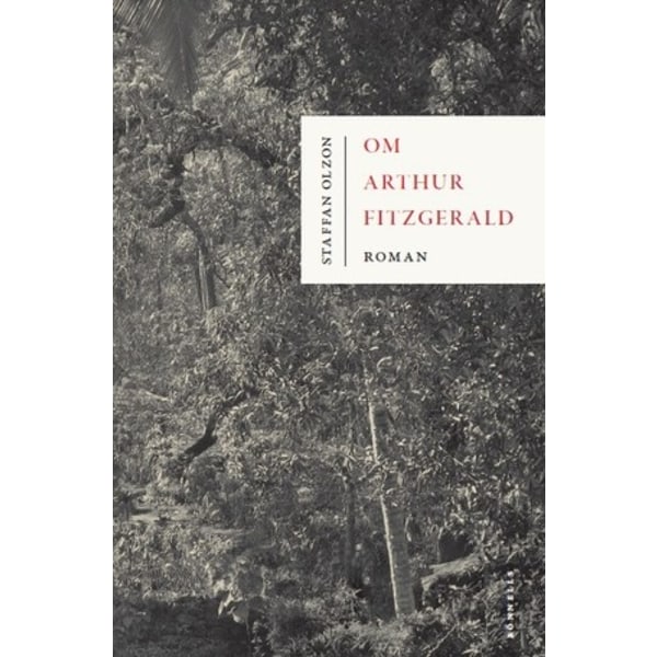 Om Arthur Fitzgerald : en roman 9789198136814