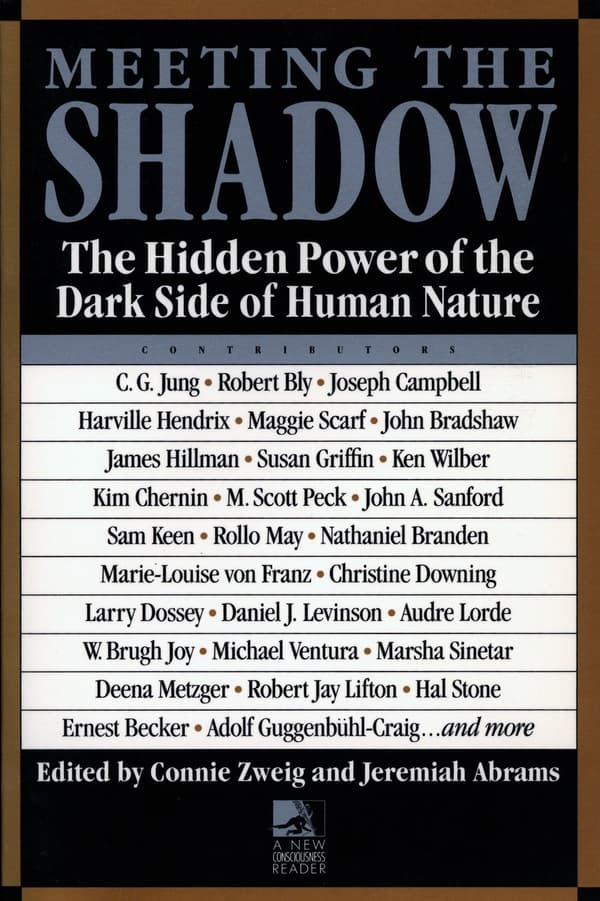 Meeting the shadow 9780874776188