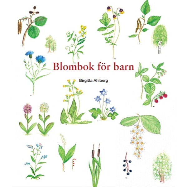 Blombok för barn 9789198940718