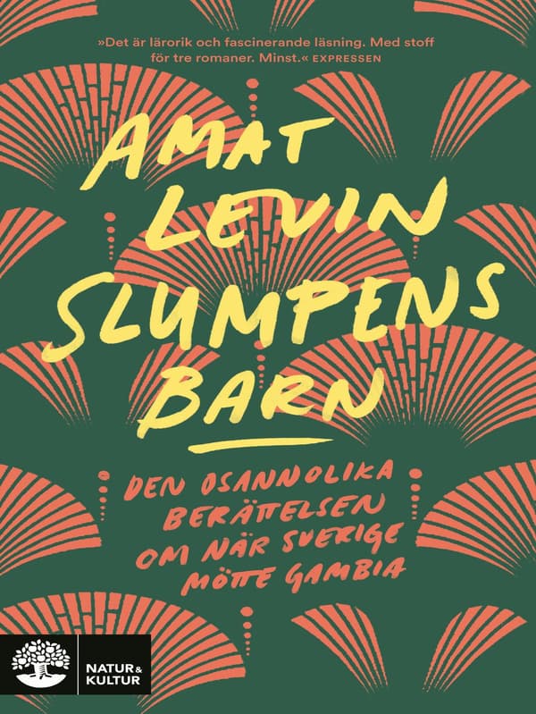 Slumpens barn 9789127171619