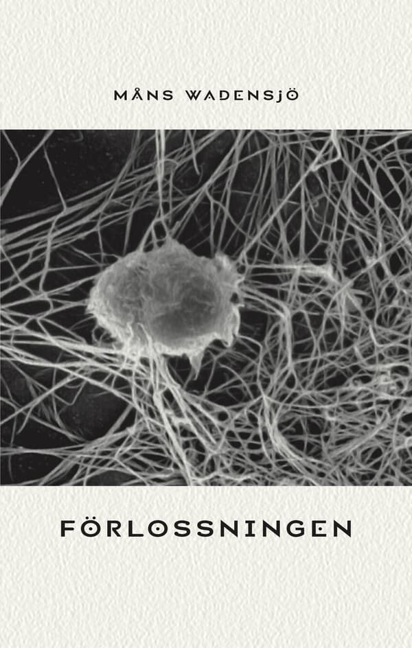 Förlossningen 9789186021504