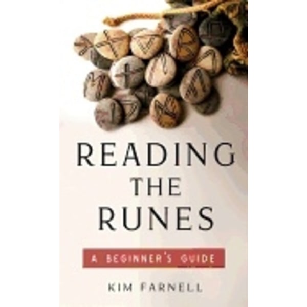 Reading The Runes : A Beginner's Guide 9781571747693