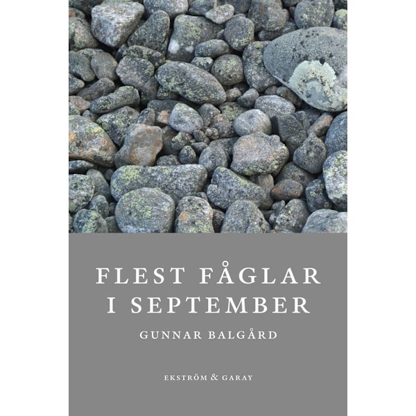 Flest fåglar i september 9789189559509